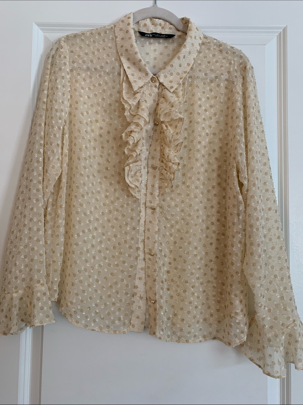 Zara Sheer Cream Ruffled Swiss Dot Blouse